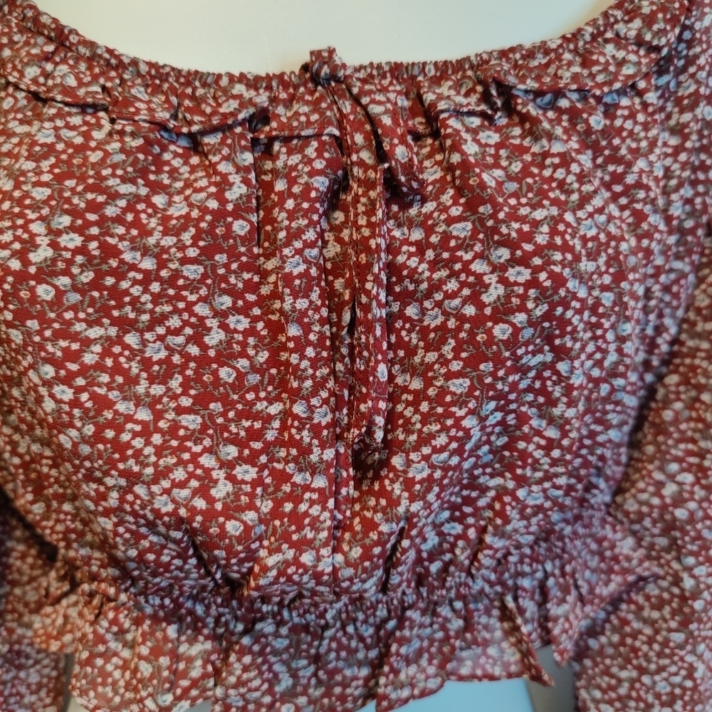 Title: Boutique Burgundy Floral Smocked Crop Top Balloon Sleeve NWT - Picture 6 of 6
